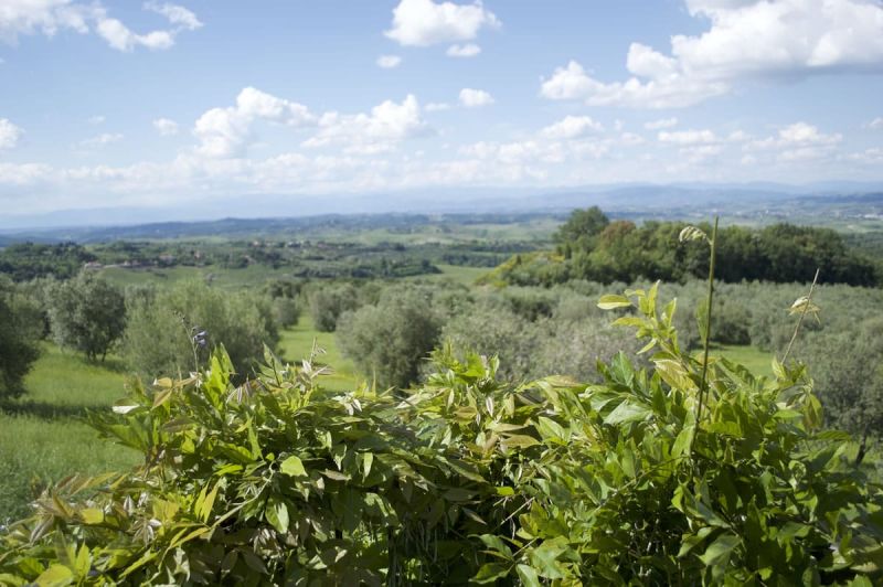 Agriturismo Chianti